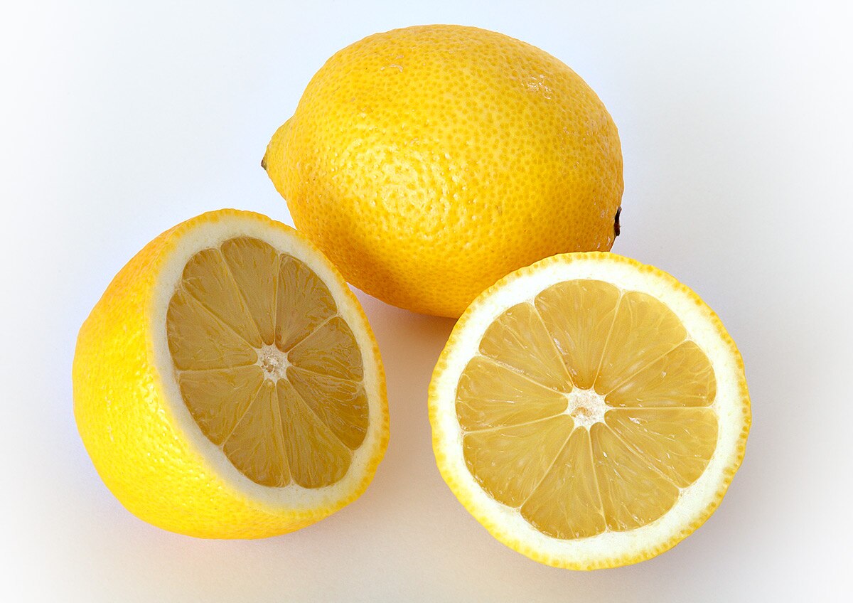 Citrus limon