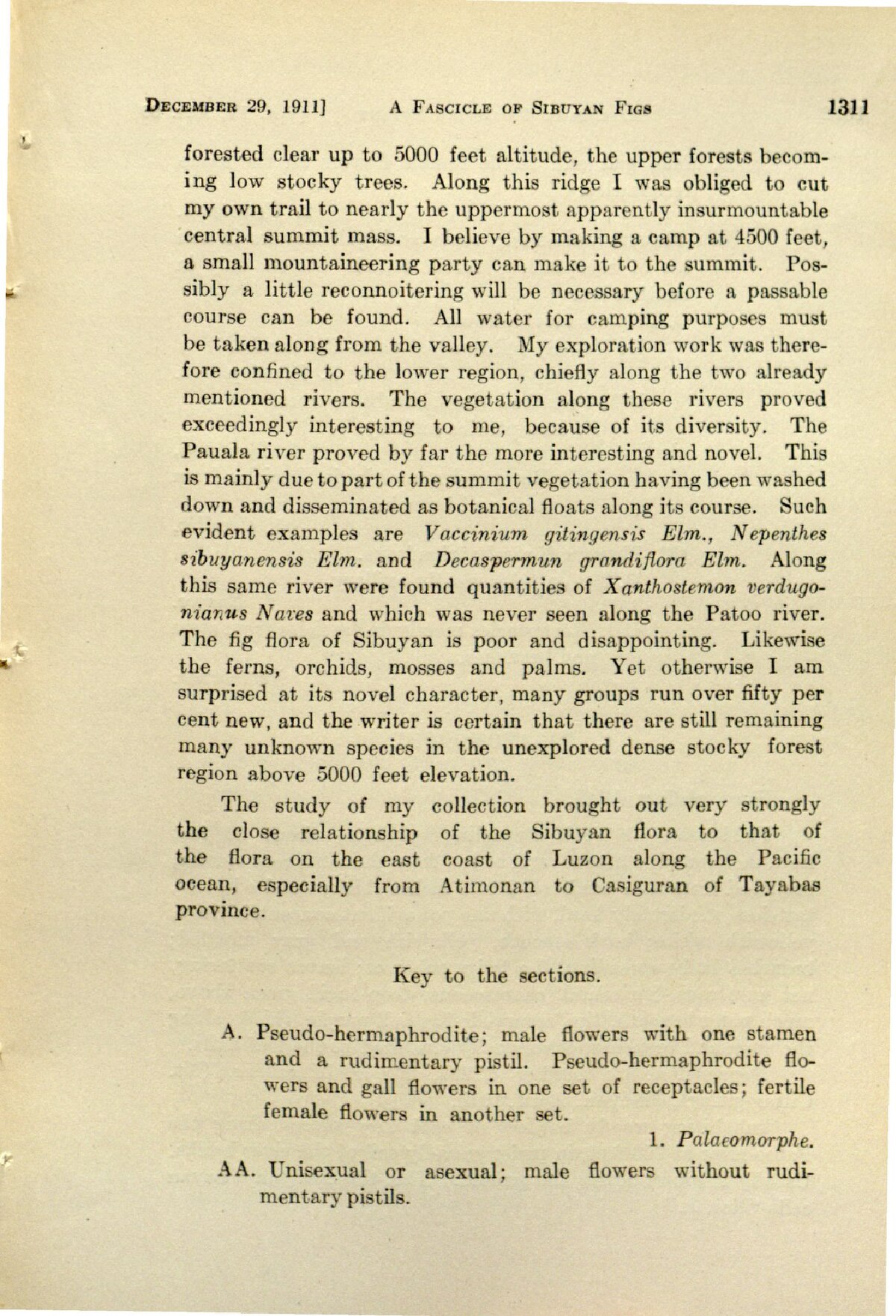 Mention of N. sibuyanensis in a 1911 issue of Leaflets of Philippine Botany